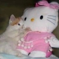 ドキ (@doki_x3) Twitter profile photo