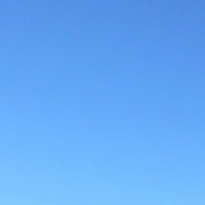 AnatoliySort's profile picture. software dev