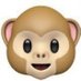 @monkey_p777