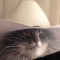 cody (@cody_1917) 's Twitter Profile Photo cody (@cody_1917) 's Twitter Profile Photo