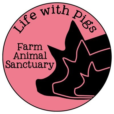 Life with Pigs Farm Animal Sanctuary is a nonprofit sanctuary in Williamsburg, VA. Donate now to help us save animals and change hearts and minds!  Link below.