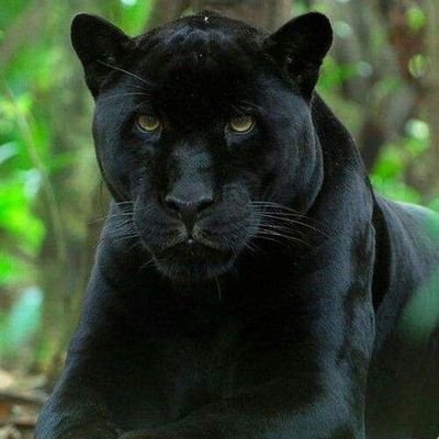 ImunduIvyu254's profile picture. Live,laugh,love