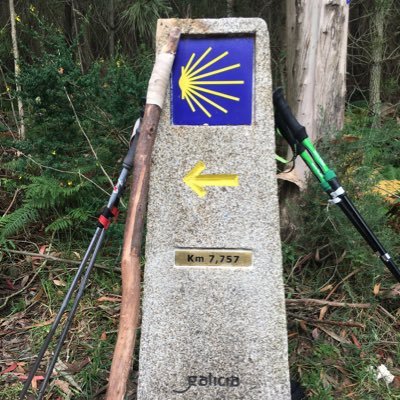 Camino de Santiago blogger and content writer.  Walked the Camino Frances, Ingles, Norte and Finisterre.