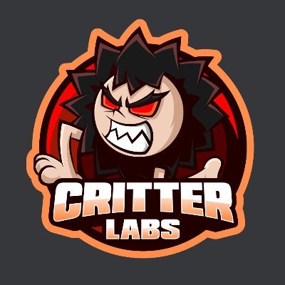 Critter Labs are a consultancy with the technology, art and project management teams, in house, at your convenience, throughout the lifespan of your project.