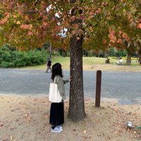みっきー🐣🐭 (@m_pipxx) 's Twitter Profile