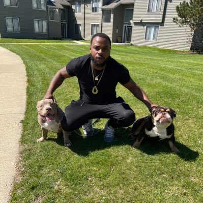 Get Intune English bulldogs will available in Chicago area 2022 get Intune follow _630Frenchies -630Bullies on IG whatever we ain’t got we will have 💯👣