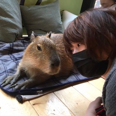 ichigo12123's profile picture. 知り合いだけ用。もう一つにうつるかも。