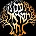 🇮🇱(Igal Shneiurson) יגאל שניאורסון🇮🇱 (@shneiurson) Twitter profile photo