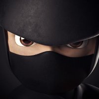 Ninja Proxy (@ninjaproxyhq) 's Twitter Profile
