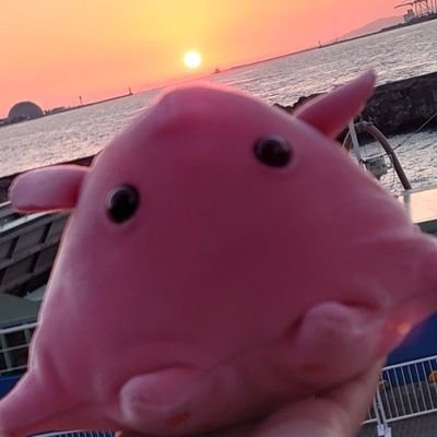 ひのさんのプロフィール画像