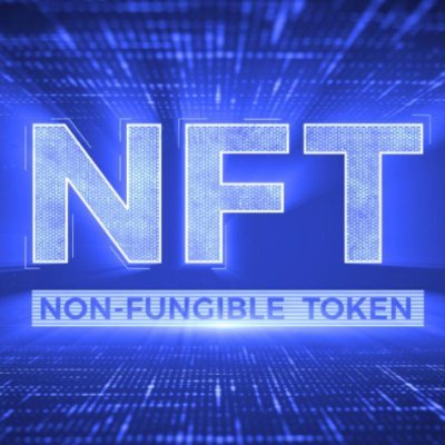 NFT Investors | Advisor