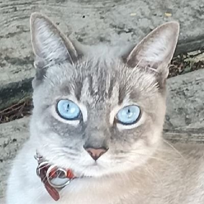 betysalazar's profile picture. 100% cañera!! Amante del basquetbol!! Extrañando a mi familia !!