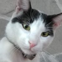 Μπατίρης Γάτος(@JimmyTarkidi) 's Twitter Profile Photo