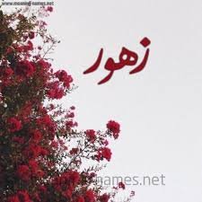 الأستاذة زهور 👩🎓👩💻
□حل الاختبارات 📑🖥
■حل الواجبات 📖
□إنشاء سيرة ذاتية📝
■عرض بوربوينت 📄
□دراسة جدوى 📔
□إنشاء أبحاث إحترافية