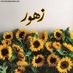 زهور لتصميم السيرة الذاتية (@zhor_cvmaker) Twitter profile photo زهور لتصميم السيرة الذاتية (@zhor_cvmaker) Twitter profile photo