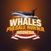 Whale Presale Hunter. (@whale_phi) Twitter profile photo Whale Presale Hunter. (@whale_phi) Twitter profile photo