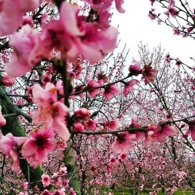 KerimNil's profile picture. 