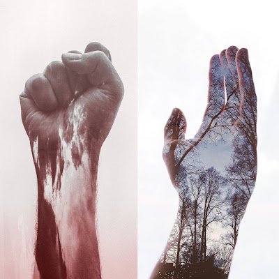 michael88137071's profile picture. 