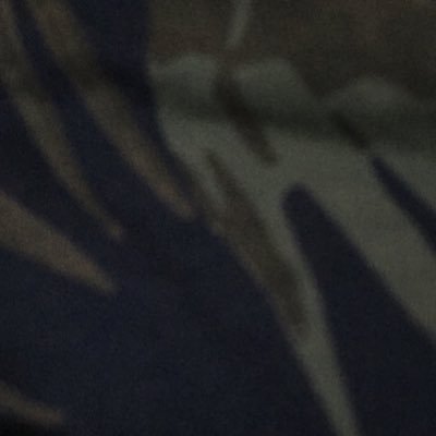 Jinjinxxk's profile picture. 