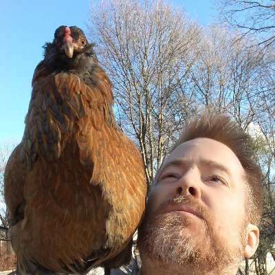 Happy Father trying to keep the wolves away.
Independent MAGA. Constitutionalist. Internet Dad.
Chicken in Bio