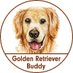 Golden Retriever Buddy (@g_r_buddy1) Twitter profile photo