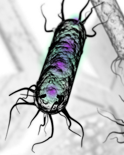 Provide open SynBio bacteria (#BactoBots) platforms with #GeneticRightsManagement (GeRM) for chemical, water, and #OpenTherapeutic partners.