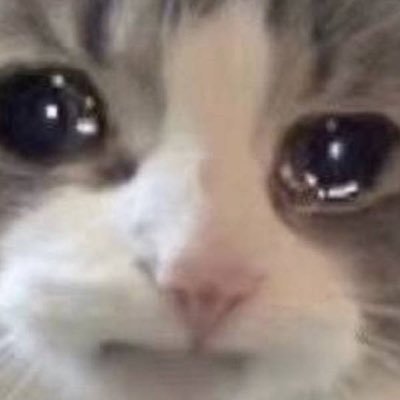 Coconutshell62's profile picture. 🌹🌹