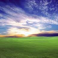 kushtrm123's profile picture. 