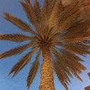 Kevin Dutt - @KevinDutt4 - Twitter