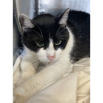 Marina97570323's profile picture. 