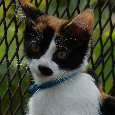 Alan69145545's profile picture. 
