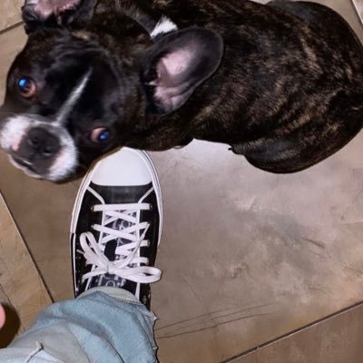 mainprodigy's profile picture. 