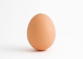 JOSE9473's profile picture. :-)