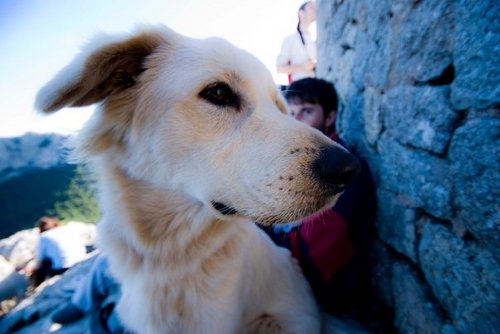 tomeu13's profile picture. 