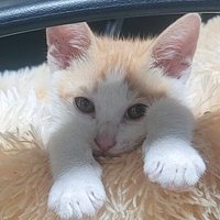 .잠팅이 (@i2guu3) 's Twitter Profile