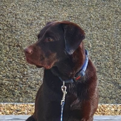 evpm3's profile picture. 