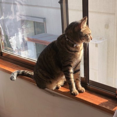 yuya7377's profile picture. 