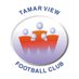 Tamar View FC Sundays (@Tamarview2ndsfc) Twitter profile photo