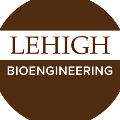 The official Twitter account of the Department of Bioengineering at Lehigh University.