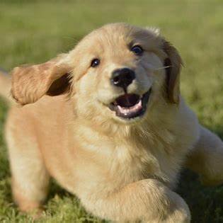 Alex26788904's profile picture. 