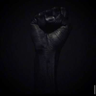 DatacampLimited's profile picture. 