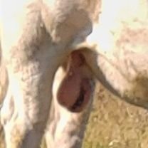 ColonelClark75's profile picture. Not giving two shits