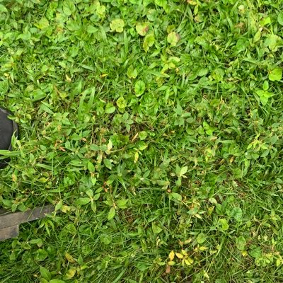 carlinze13's profile picture. 