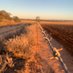 Bruce Schaefer (@brucefschaefer) Twitter profile photo