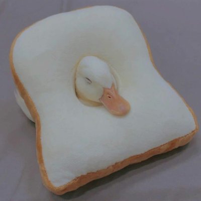 EnigmaInSpace's profile picture. 