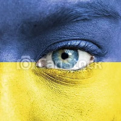 roverealbanez's profile picture. Só observando