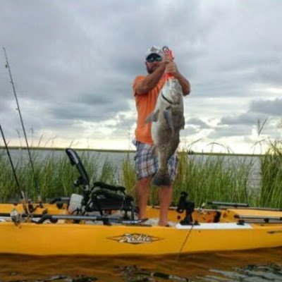 goinpesto's profile picture. 