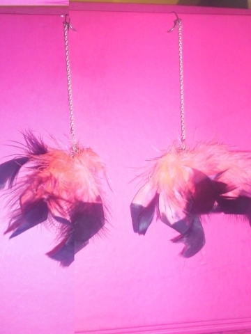 Sweet Williams Profile