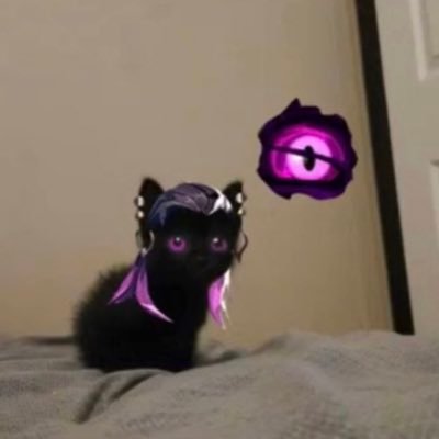 zurxsells's profile picture. Account seller/trader NGF