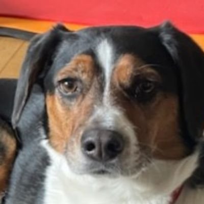 Kidbobby's profile picture. What comes around......